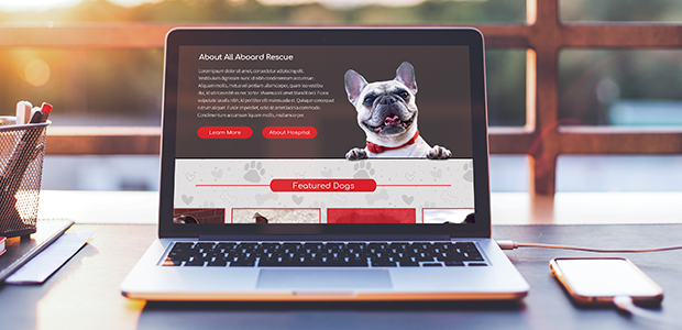All-Aboard Animal Rescue