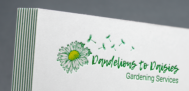 Dandelions to Daisies Logo and Brand Design