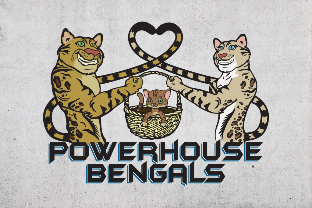 Powerhouse Bengals Illustrated Logo