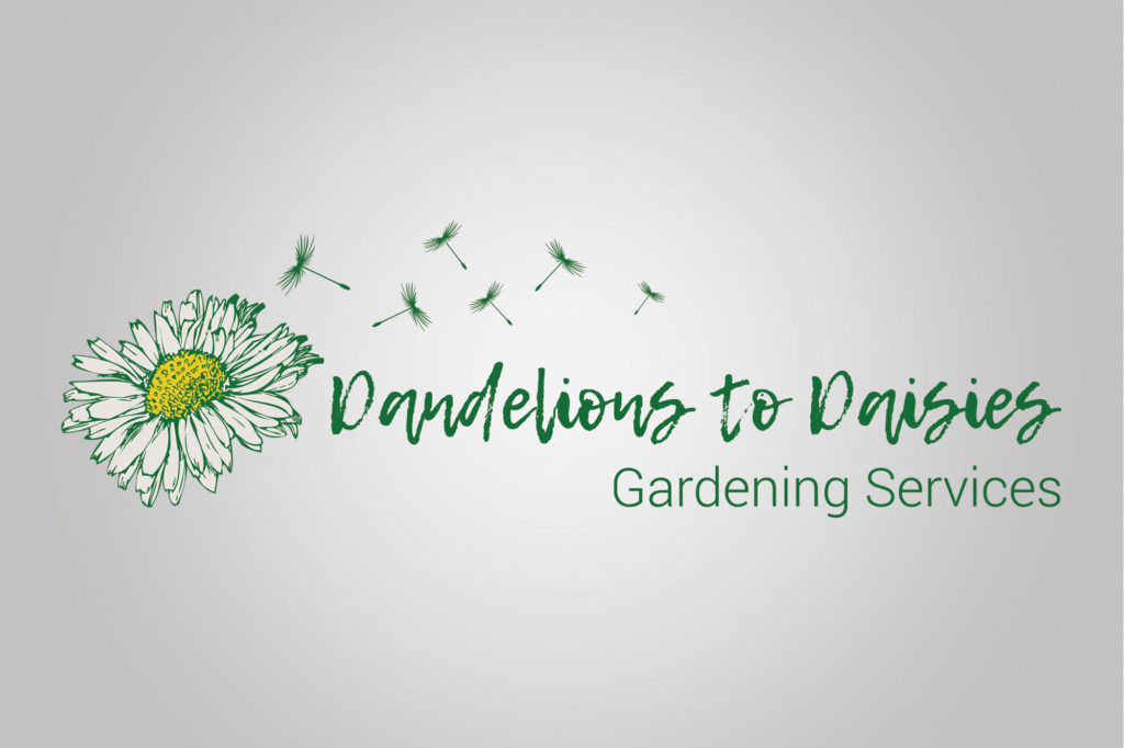 Dandelions to Daisies logo Dandelions to Daisies logo